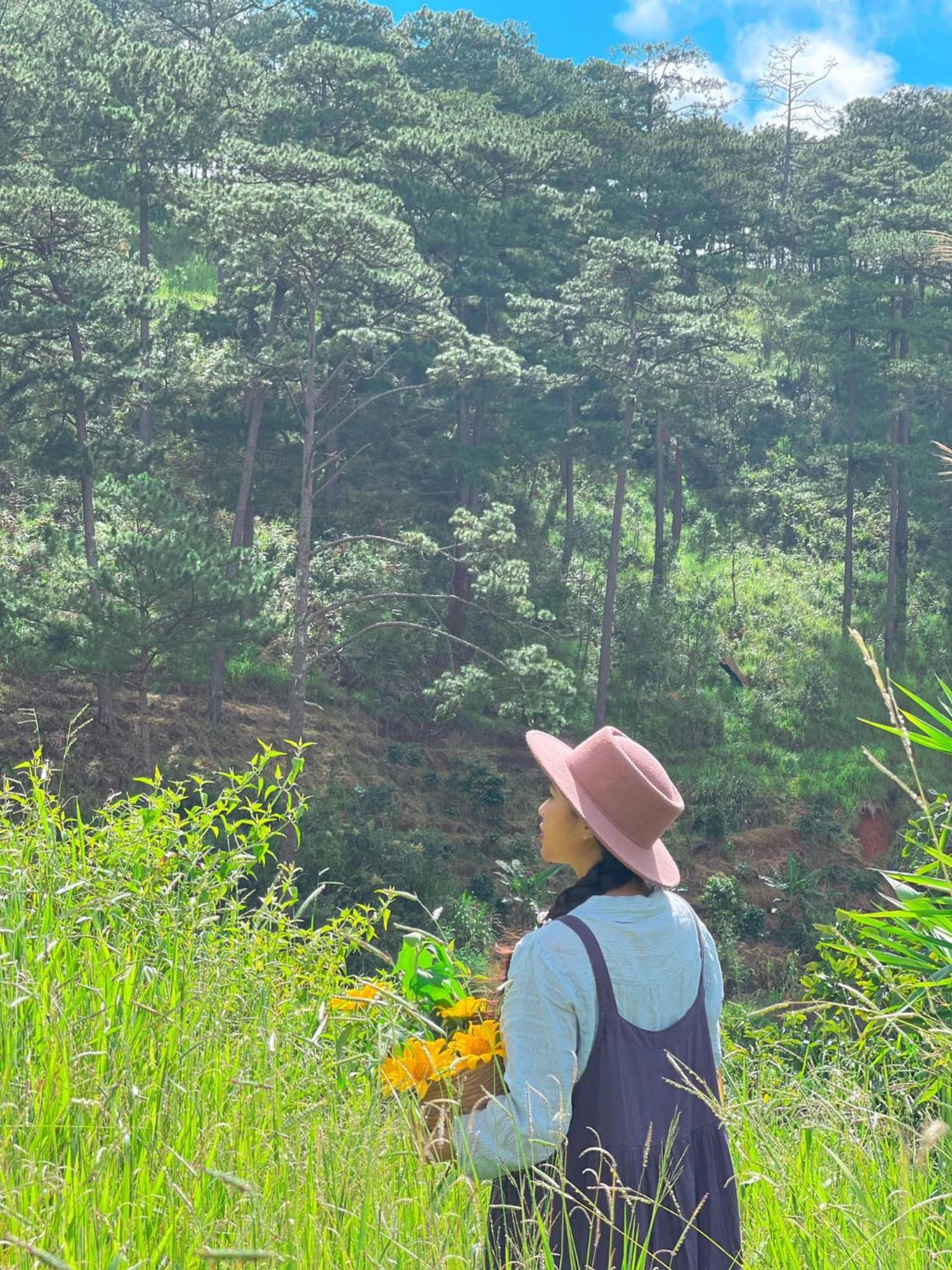 Dalat Memories Homestay - Pho Suong Mo Dalat Exterior foto