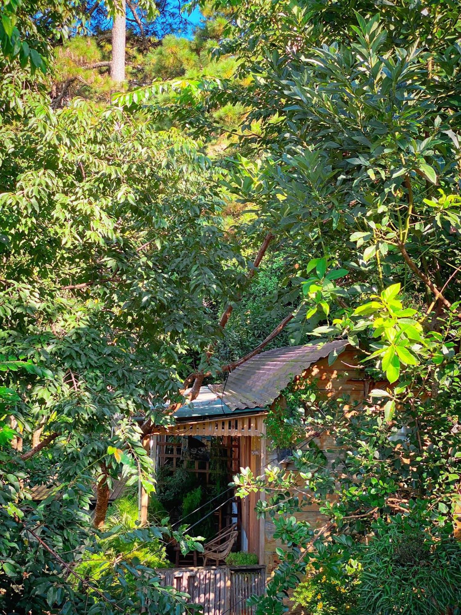 Dalat Memories Homestay - Pho Suong Mo Dalat Exterior foto