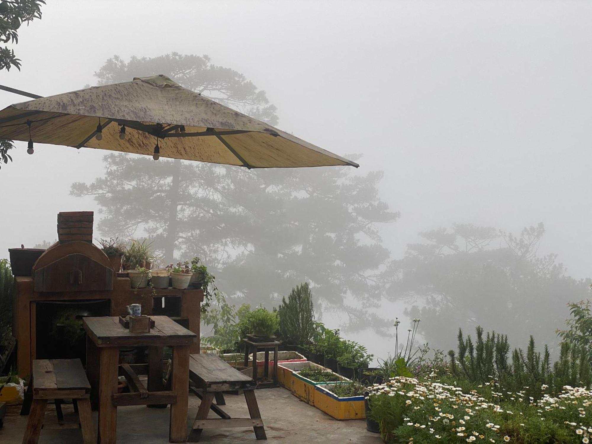 Dalat Memories Homestay - Pho Suong Mo Dalat Exterior foto