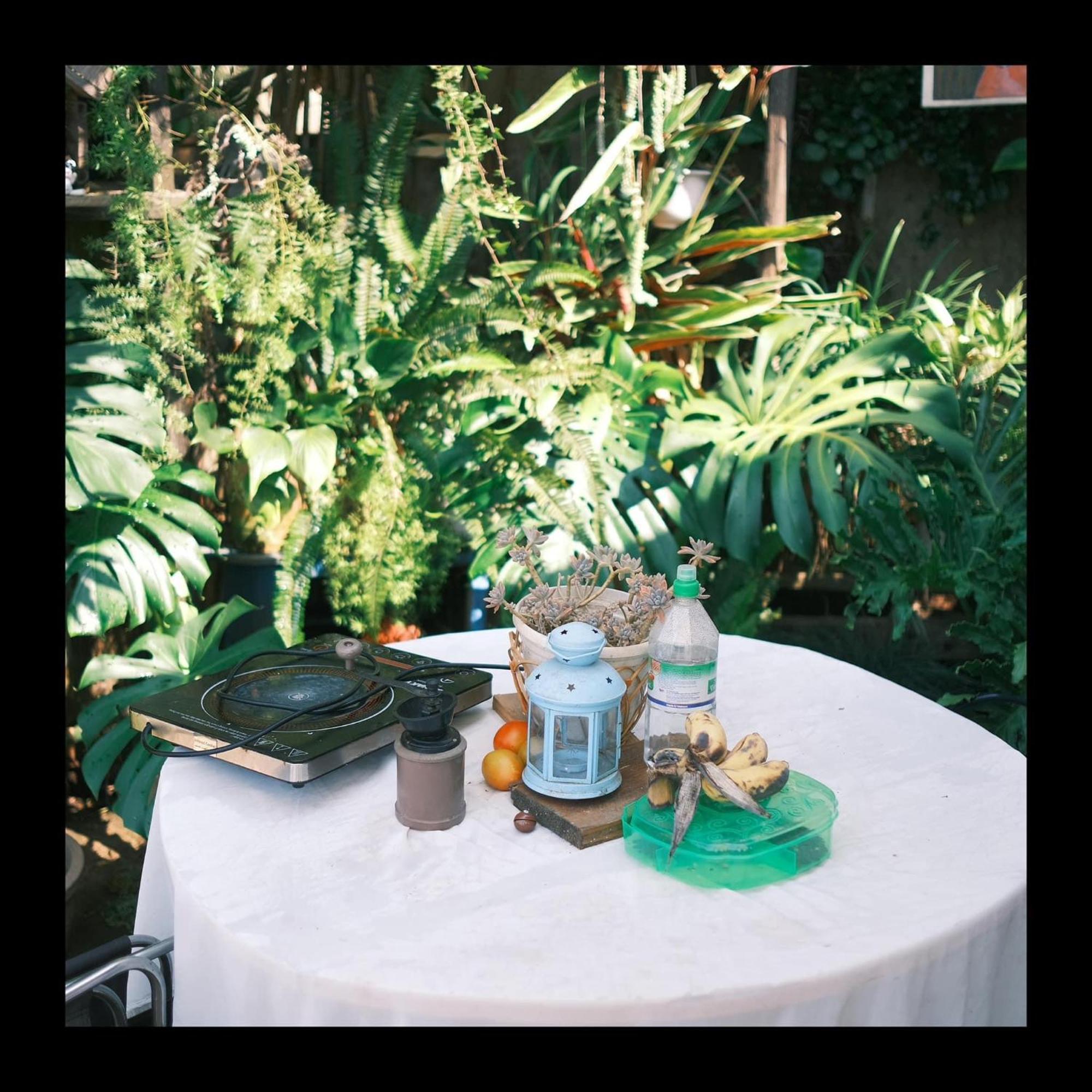 Dalat Memories Homestay - Pho Suong Mo Dalat Exterior foto