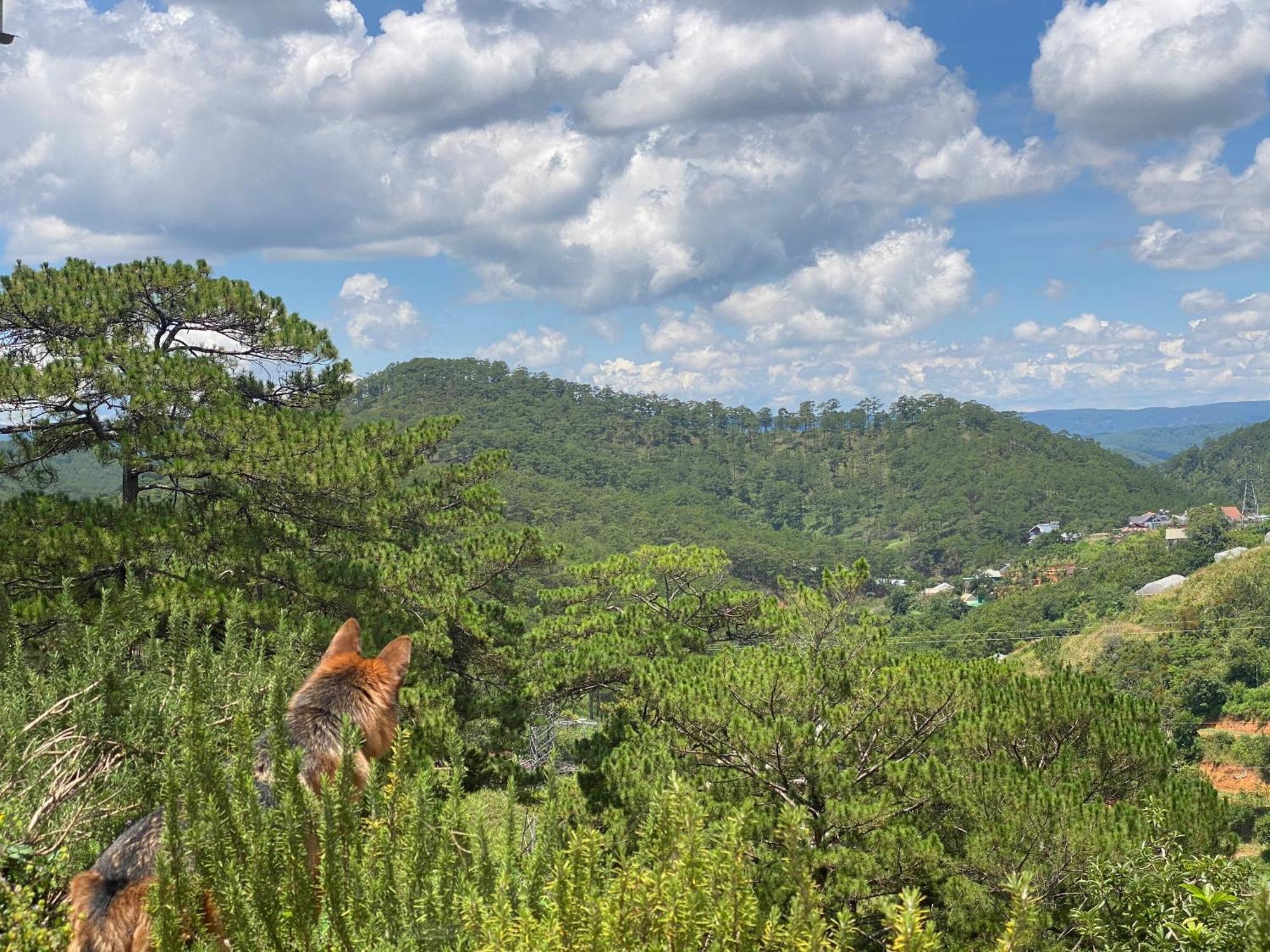 Dalat Memories Homestay - Pho Suong Mo Dalat Exterior foto