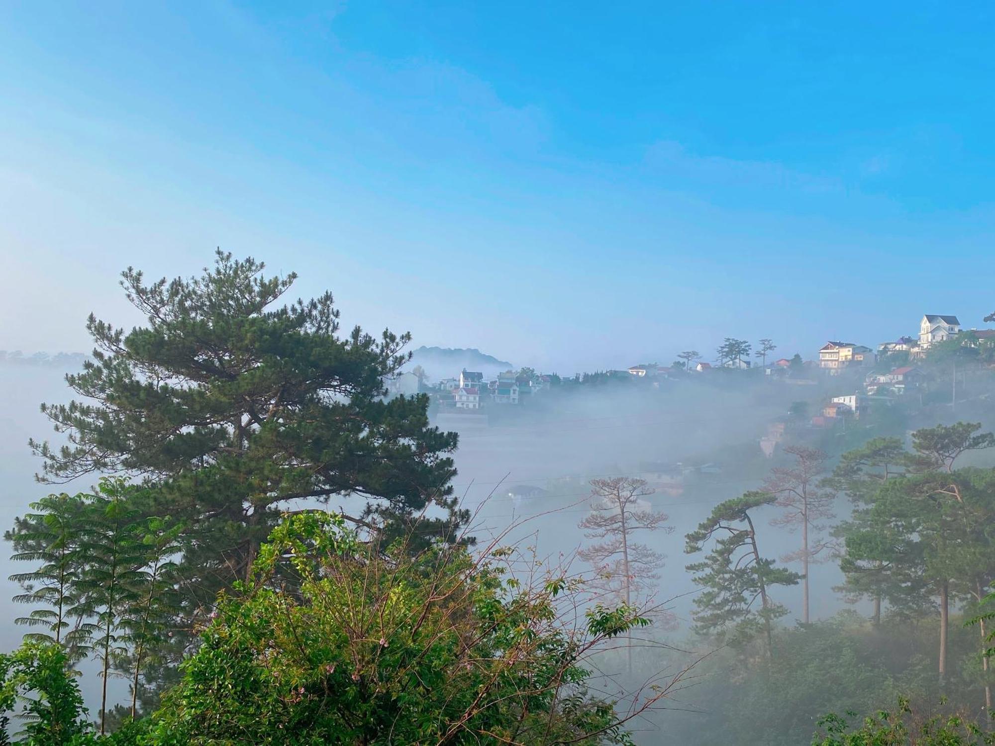 Dalat Memories Homestay - Pho Suong Mo Dalat Exterior foto