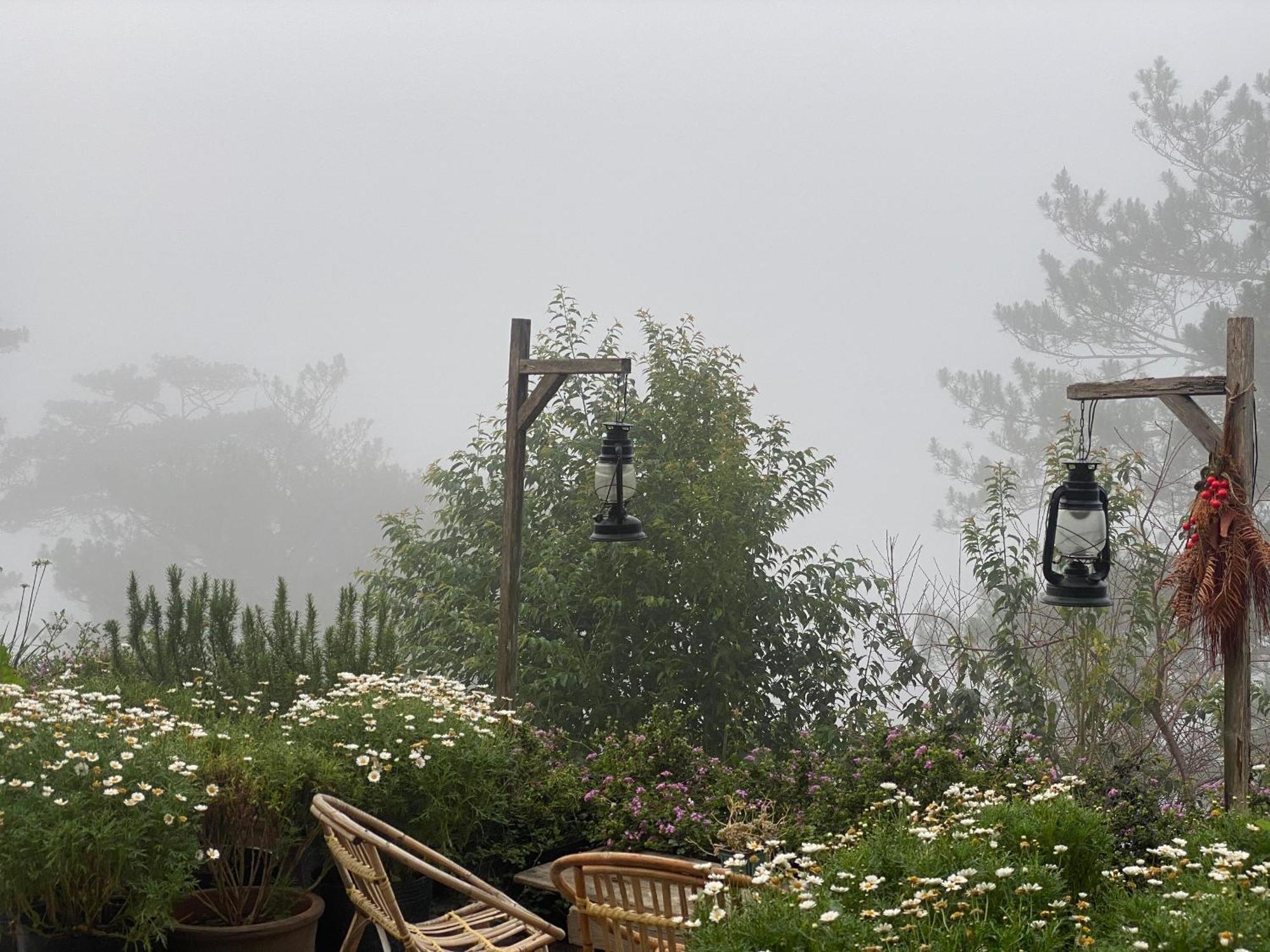Dalat Memories Homestay - Pho Suong Mo Dalat Exterior foto