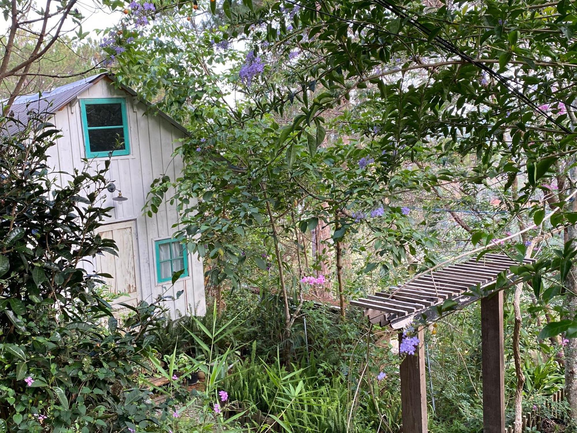 Dalat Memories Homestay - Pho Suong Mo Dalat Exterior foto